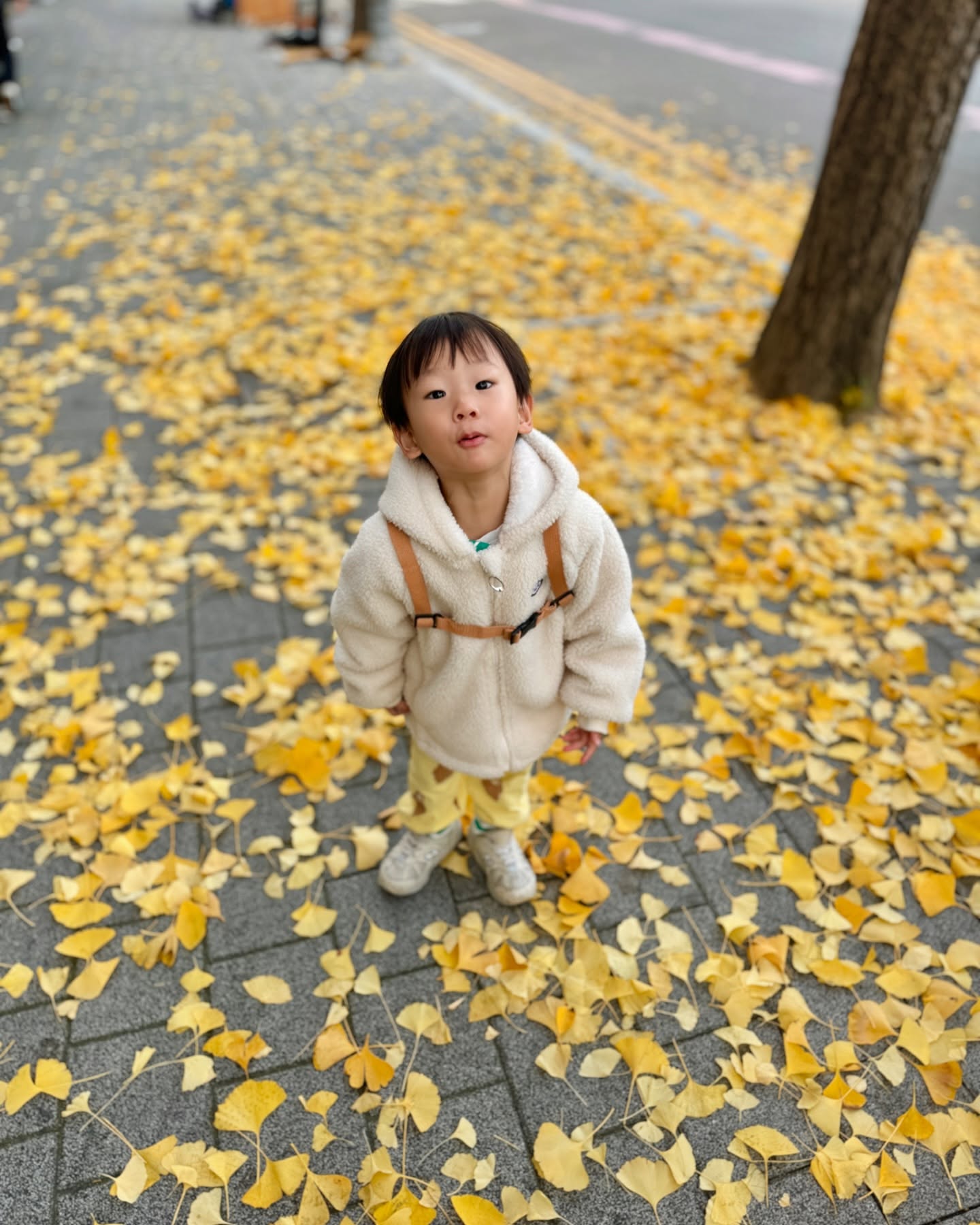 2024/11 늦가을🍁
1-3 빼빼로시즌 끝나고나서야 처음 본 은행나무. 너무 예뻤다💛
4 빼빼로데이 조기교육,,, 
5-6 귀여워🧑🏻‍🚒🧯
7 ㅋㅋㅋㅋㅋㅋㅋㅋㅋㅋㅋㅋㅋㅋㅋㅋㅋㅋㅋㅋㅋㅋㅋㅋㅋ조마빡이
8 마법사?
9 기욤 둘
10 결혼식 박수머신
11 😆
12 🧅
13-14 엄마산타가 소방차 사따.....
15 🍁
16 왕치사
17 책이 제일 재밌는 아가
18 하늘이 누나가 뽀로로버스 줘서 신남🫶🏻
19 뇸뇸