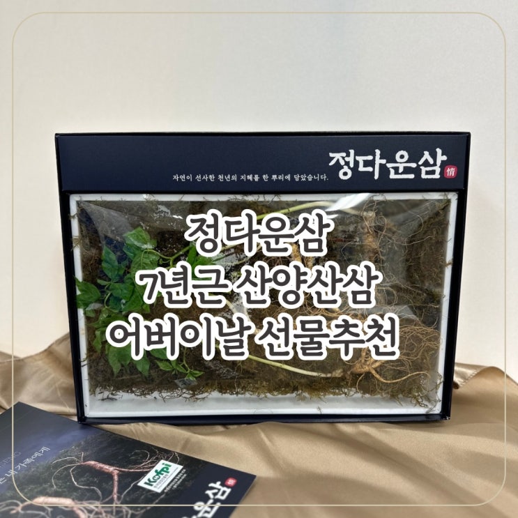 [정다운삼] 어버이날 선물, 건강선물로 7년근 산양삼 정다운삼 준비!/ 산양삼 담금주 만들어보기