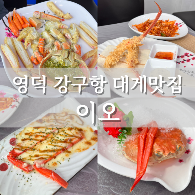 영덕대게 영덕데이트맛집 강구항대게맛집 추천[이오]