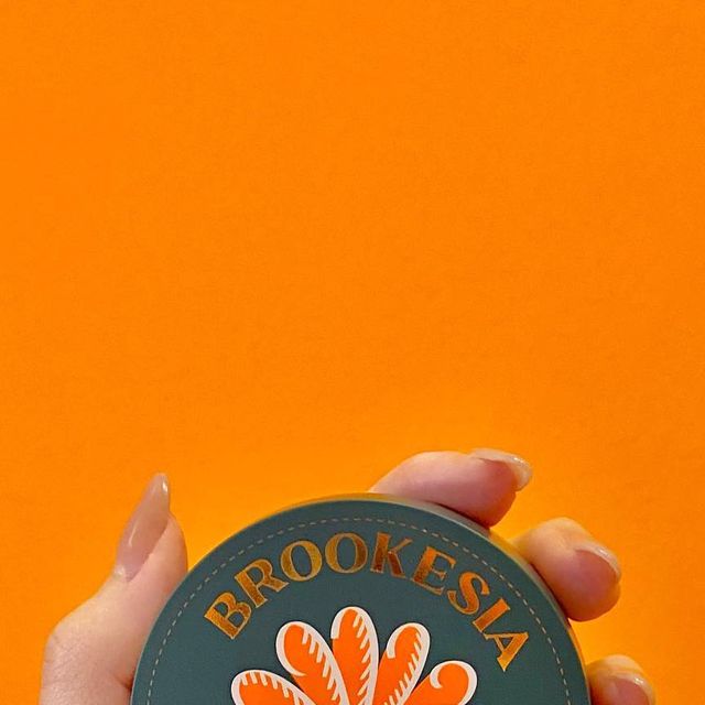 묘영 on Instagram: "#광고 @brookesia_official 

🧡브루케시아 스킨 인핸서 컴팩트 쿠션_매트🧡

속 건조 없는 스킨케어링 매트 쿠션으로
땀과 습도에도 무너짐 없는 72시간 고밀착
가볍고 얇지만 섬세하고 강력한 커버력까지!!

수분기를 뺀 건조한 보송 매트가 아닌
안정적으로 수분을 지켜주는 오일 컨트롤 에센스를 함유하여
촉촉하면서 매끈한 피부를 완성해 주는 세미 매트 쿠션이에요

민감한 피부를 달래주는 히알-로에(hyaloe)
독자성분이 함유되어 있어 민감성 피부인 저한테 딱이었어요

<스킨 인핸서 컴팩트 쿠션_매트 컬러 가이드>
-01 Pale Peach(17~19호 페일 핑크)
-1.5 Light Rosy(19~21호 뉴트럴 핑크 베이지)✨
-02 Soft Rosy(21~22호 뉴트럴 옐로우 베이지)
-03 Deep Beige(22~23호 옐로우 베이지)
-04 Dark Beige(24~25호 다크 옐로우)

✨저는 평소 밝은 21호를 사용하고
가을 웜톤이라 핑크 베이스는 절대 못 쓰는데
핑크가 한 방울 섞인 뉴트럴 핑크 베이지 컬러인
1.5 라이트 로지를 선택했어요:)

#쿠션추천 #매트쿠션 #쿠션파운데이션 #쿠션팩트추천"