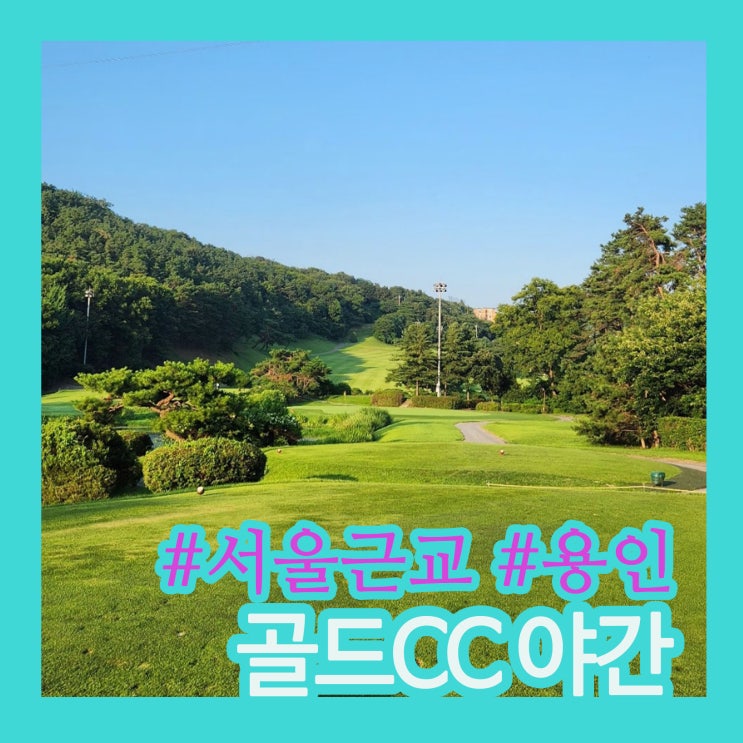 골드CC 야간라운딩 후기｜서울근교 용인 골프장, 폭염 속 3부 라운딩 잔디상태