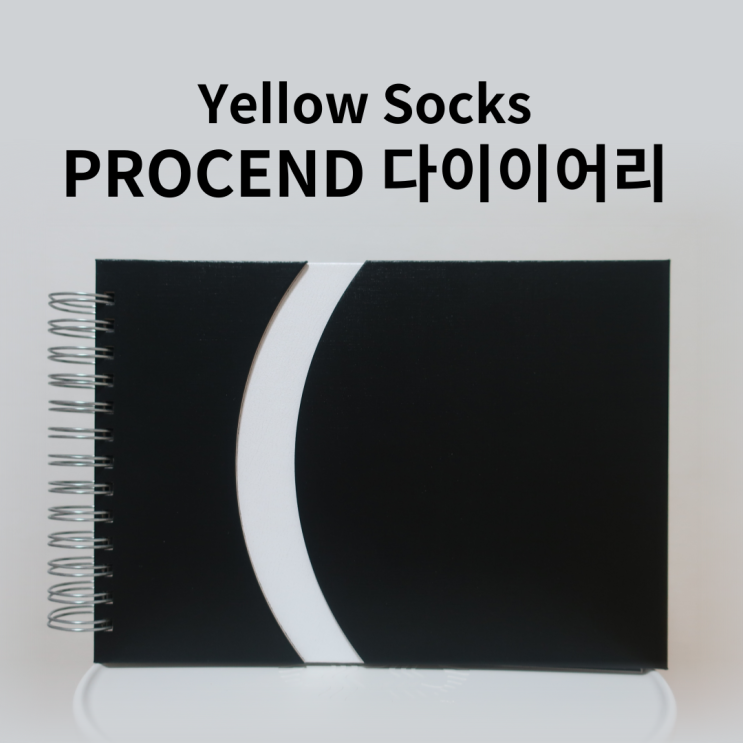 Yellow Socks PROCEND 100일 열망 다이어리 사용 후기✏️