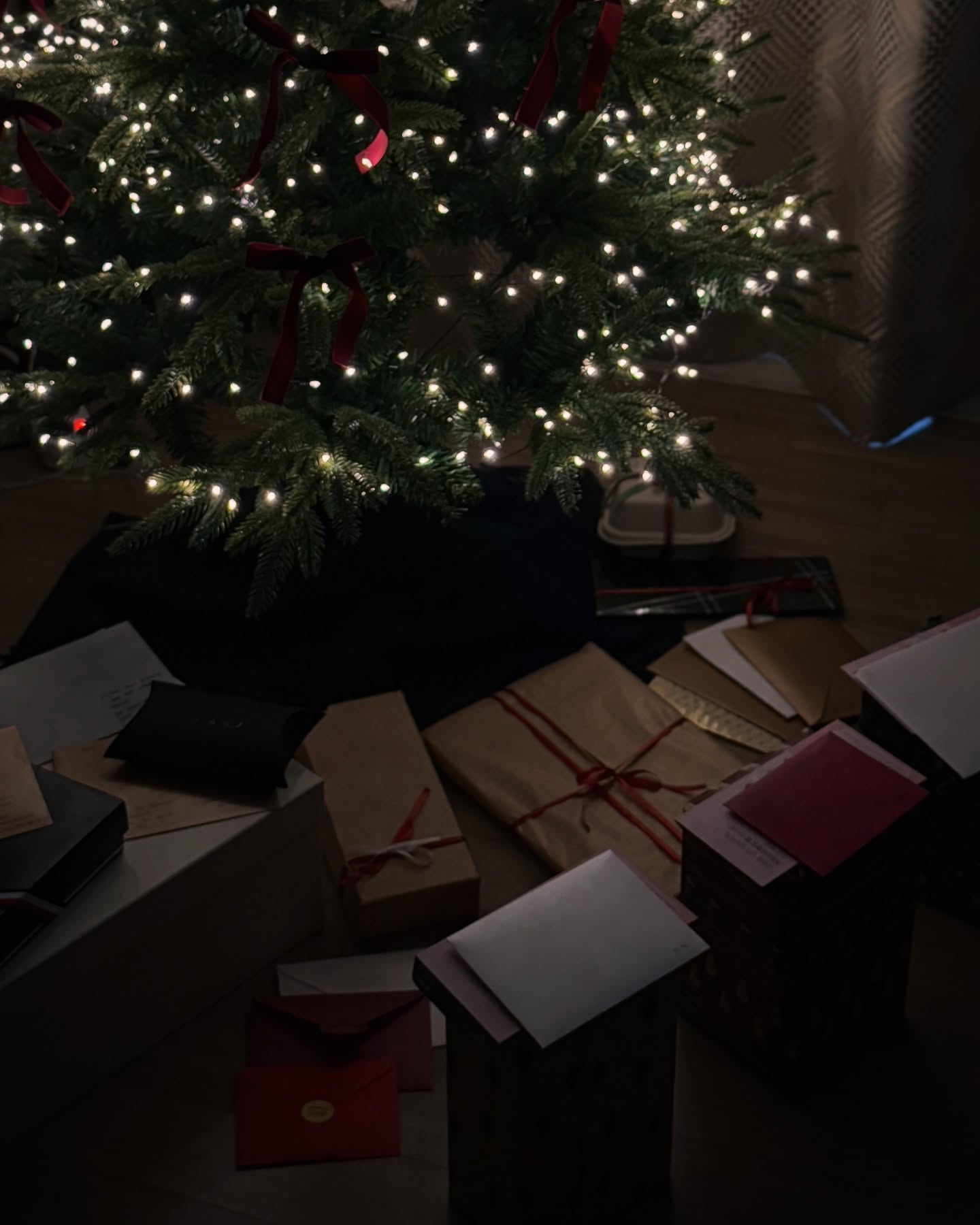 크리스마스 러버의 행복했던 12월🎄
크리스마스는 내년에 다시 오니까🥹 이제 정말 2024 크리스마스는 안녕❄️🥲✨🔥🫶