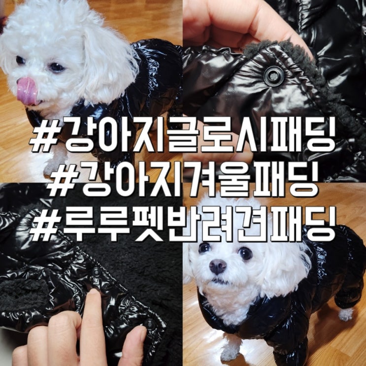 루루펫 강아지 글로시 패딩 소형견도 따듯해