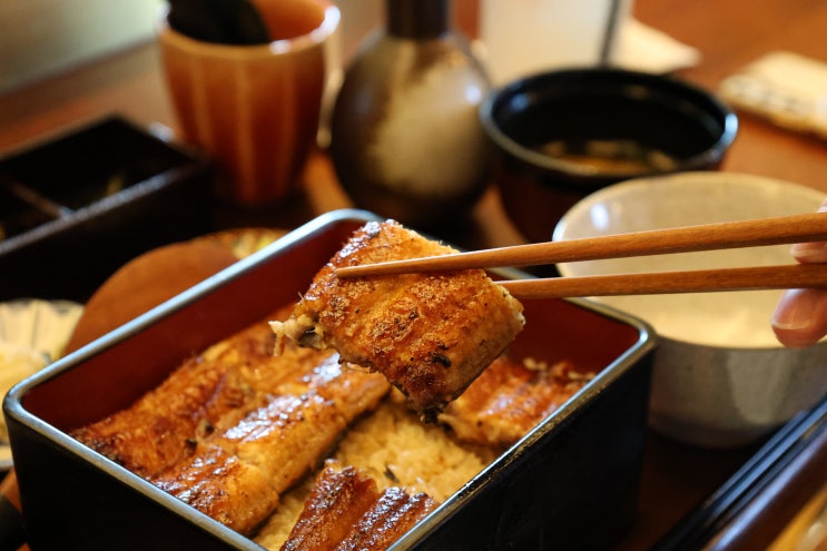 세종 맛집 호원 장어덮밥 점심 추천