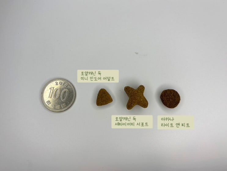 저칼로리 고단백 사료추천 아카나라이트앤피트