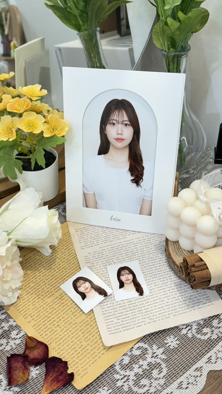 [흐드러지다 스튜디오] 을지로 3가역 증명사진 맛집 을지로사진관 추천🤍