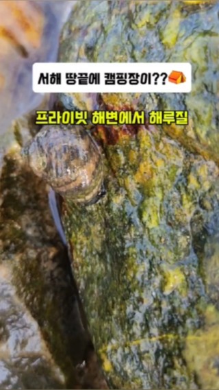 #협찬 서해 땅끝 캠핑장  프라이빗 해변에서 해루질 할사람🙌

#서해땅끝파도리아치내캠핑장 #여름캠핑 #바다캠핑장 #태안캠핑장추천 #하이라이트챌린지 #여름간식 #나만의레어탬 #여름취미 #블로그클립 #포토덤프챌린지 #8월일상 #일상이야기 #블로그챌린지 #2024올스타전 : 클립