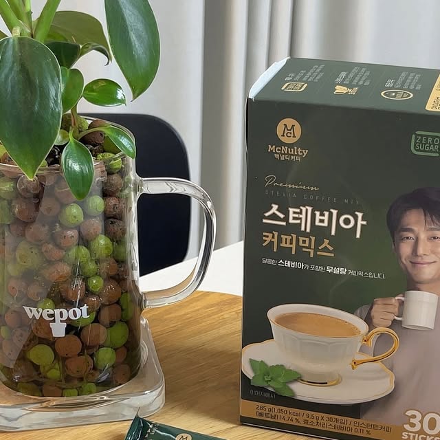 샐리 하우스 🏠 on Instagram: "#광고 
@mcnulty_official 

당 없이 즐기는 #커피믹스 ☕️
제로슈가지만 #스테비아 로 부드럽고 풍부한 단맛은 유지해서
더더 맛있어요 😌🤍 참고로 저는 커피믹스 위에다가 우유거품 만들어서 올려먹는걸 좋아한답니다! ☁️☁️☁️
.
.

🏷 #맥널티 #스테비아커피믹스 

▫️명품배우 #지진희 님이 선택한 맥널티스테비아 #믹스커피 😋 
설탕보다 200배 달콤한 천연 감미료 스테비아를 사용해 믹스커피를 먹고 싶어도 꾹 참았던 분들께 완전 희소식 아닌가요👍 믹스커피라도 드더 건강하고 맛있게 즐길 수 있어요!! 💚

▫️맥널티만의 크리머로 더욱 부드럽고 깊은 풍미를 느낄 수 있어서 더욱 맛있어요! 건강한 무항생제 1등급 우유를 사용했고 심지어 크리머도 당제로 라고 하니 안심하고 먹을 수 있어요 😊 인위적인 단맛 NOPE, 고소하고 부드러운 커피에 자연스러운 단맛의 조화가 일품🤍

▫️저희 남펴니고 부쩍 살이쪄서 #다이어트 중인데 체중관리 중에도 커피믹스 포기 못하는분들!! 혹은 커피믹수 좋아하지만 건강하게 드시고 싶으신 분들에게 특히 강추해요 ⭐️
.
.
.
.
.

#커피 #커피추천 #커피믹스추천 #믹스커피추천 #스테비아커피믹스 #지진희커피 #다이어트커피 #맥널티커피 #한국맥널티"