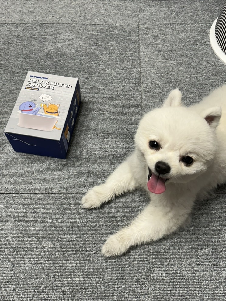 [강아지샤워기]페스룸 릴렉스 필터샤워기