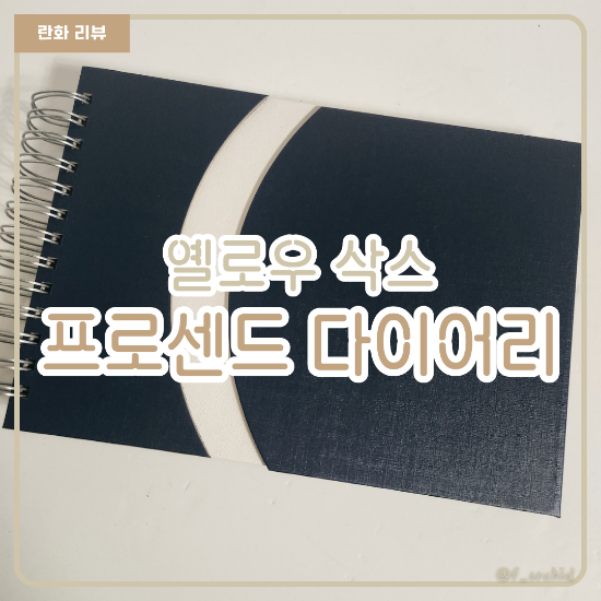 자기계발 완성 다이어리 추천 옐로우 삭스 프로센드 다이어리