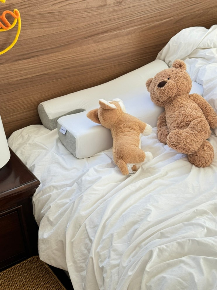 옆으로 자는 사람들을 위한 인생 베개! 닥터헨델 옆잠베개 후기 😴✨