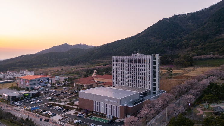 고창 웰파크호텔 추천 석정온천 가성비 좋은 직거래예약
