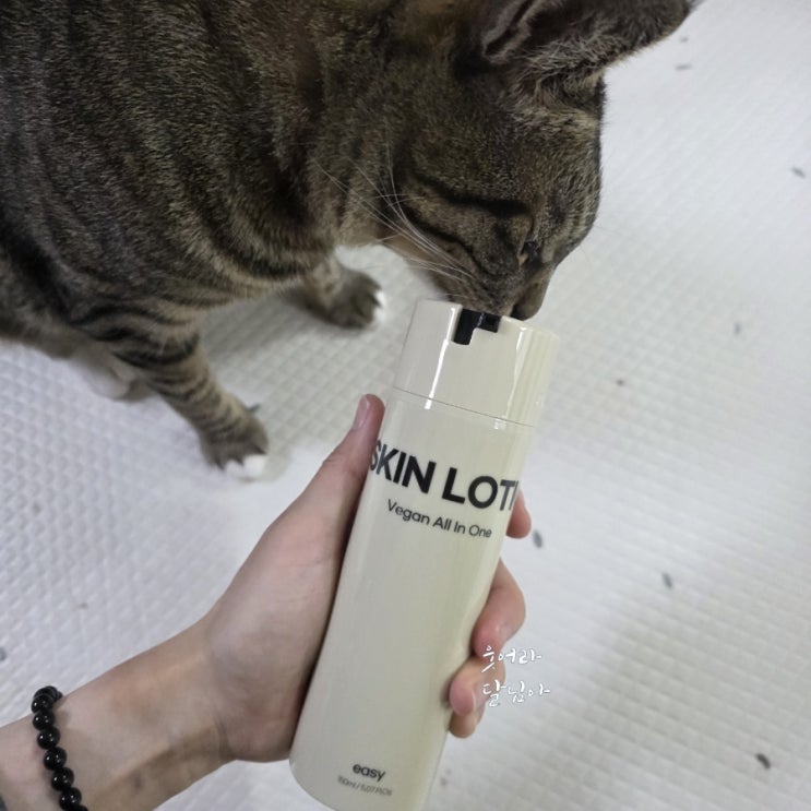 내남자의 고민을 해결하는 올인원스킨로션