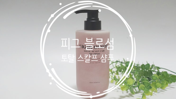 지성 두피의 비애, 오후만 되면 떡지는 앞머리와 정수리 냄새 탈출기 (feat. 무화과 향기)