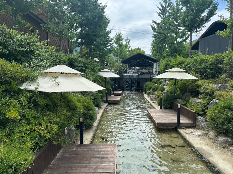 동학사글램핑 공주 파크오브드림글램핑 바베큐 버블파티까지 낭만 가득한 글램핑 후기