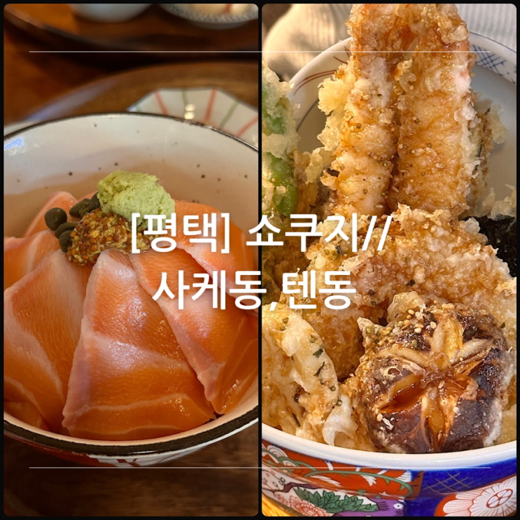 [평택] 소사벌 쇼쿠지 일본 가정식 사케동 텐동 맛집