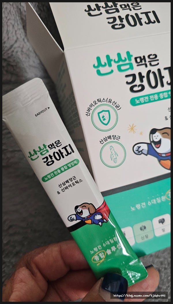 13살 우리 김뽀삐씨 기력 회복 프로젝트! 산삼먹은 강아지 노령견영양제