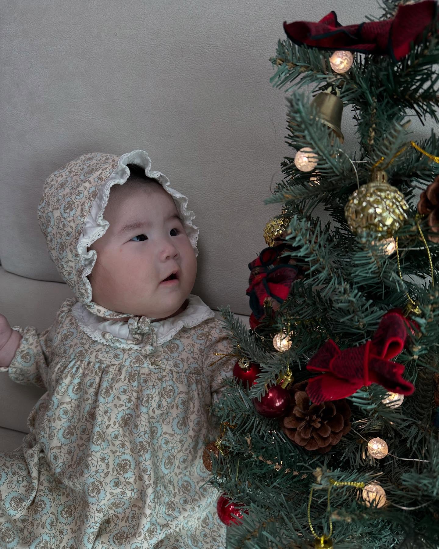 게시물로도 남겨놔야지
2024년 유하의 첫 크리스마스🎄
집에서 소소하지만 따뜻하게 보냈다💚