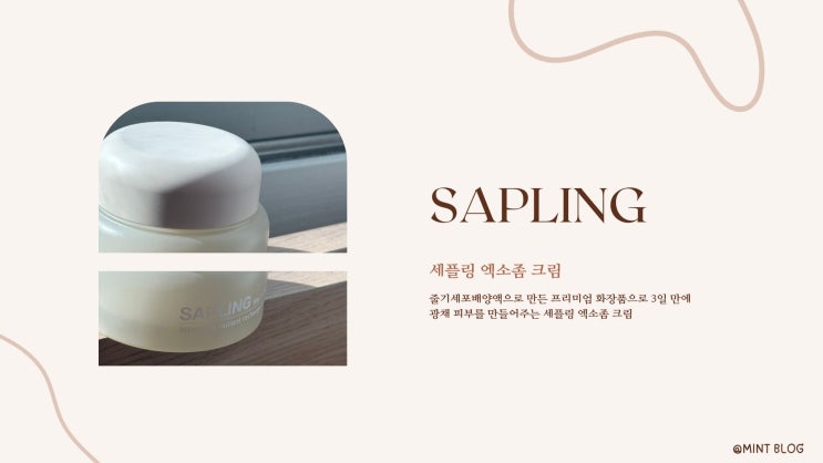 [Review] 반짝반짝 광채 피부를 원한다면?? | 겨울철 보습 크림 추천 | 줄기세포 재생 크림 추천 | 세플링 엑소좀 크림