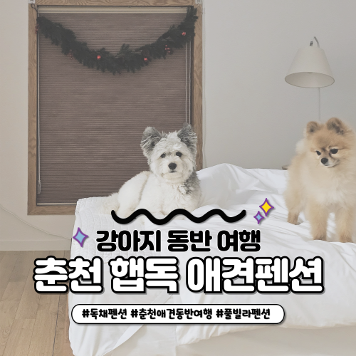 춘천 애견동반펜션 신축 독채 풀빌라 숙소를 찾는다면 "햅독"