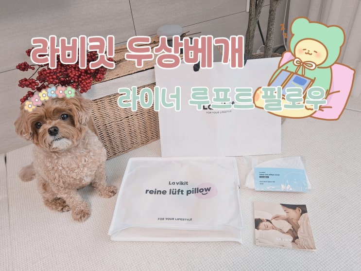 출산축하선물로 받은 라비킷 두상베개