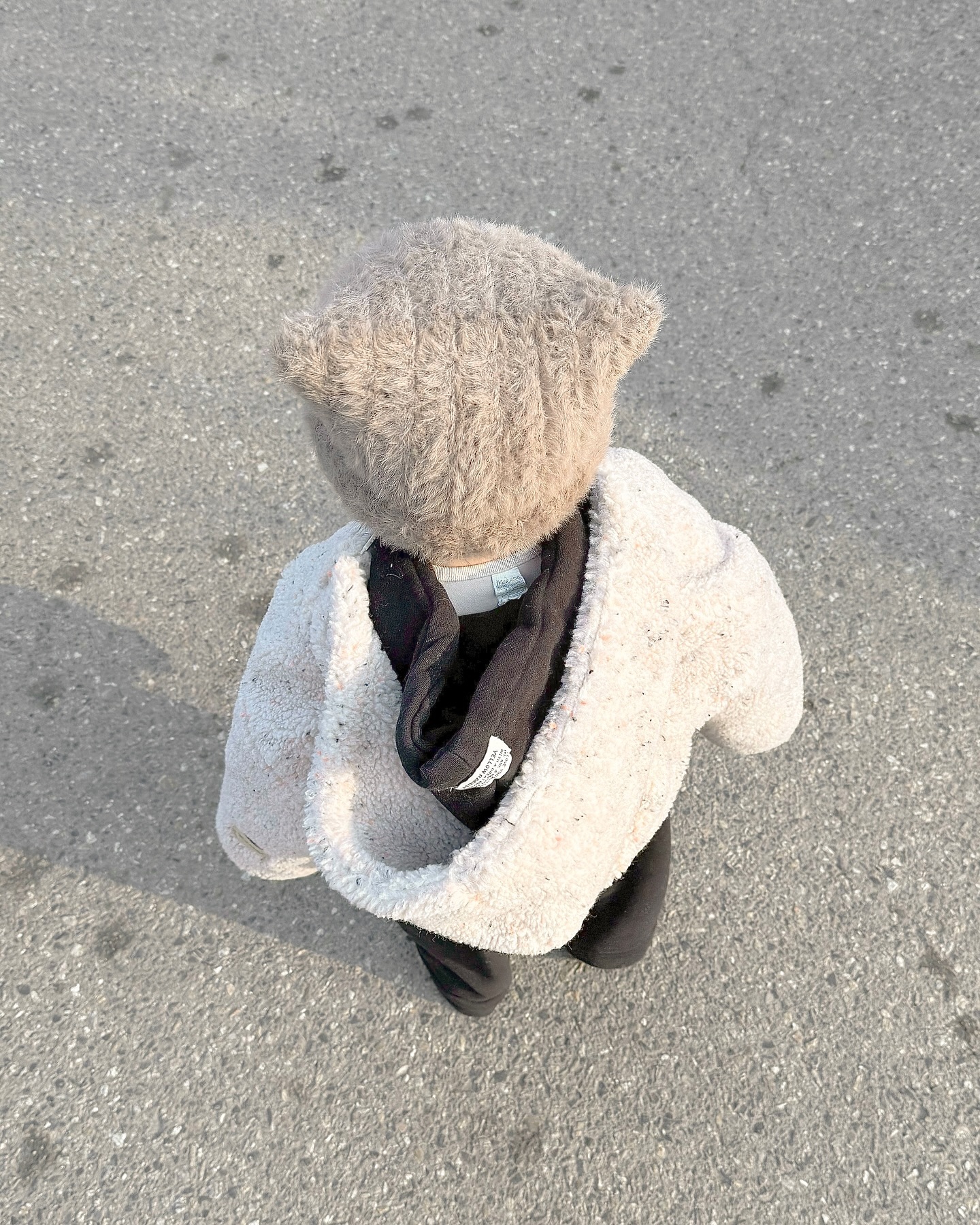 너모 귀여운 고냥이🐱🤍