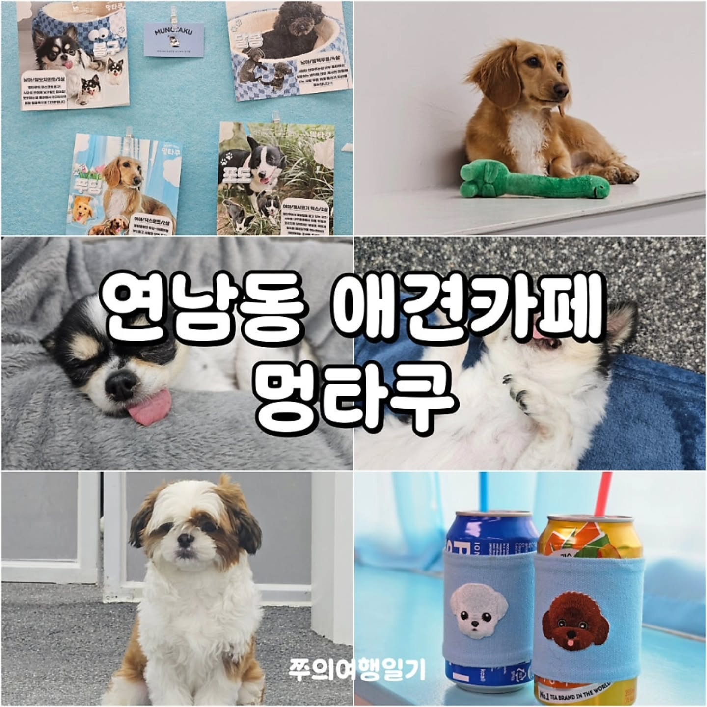홍대 멍타쿠 by 쭈의여행일기 in 서울

📍 서울 마포구 동교로 268 4층
⏰️ 8시 오픈 / 20시 마감
🌟 애견카페는 12시 30분부터 시작
👉 11시 30분부터 12시 30분 휴게시간
❌️ 매달 1,3번째 수요일 정기휴무

🌟 홍대 실내 데이트&놀거리 찾는다면
귀여운 멍뭉이 친구들 있는 멍타쿠 어떠세요?
더 자세한 후기는 쭈의여행일기 블로그에서 확인해주세요

​#쭈의여행일기 #쭈의여행일기서울 #홍대놀거리
#홍대실내데이트 #홍대애견카페 #연남동애견동반 #멍타쿠
#멍타쿠애견카페