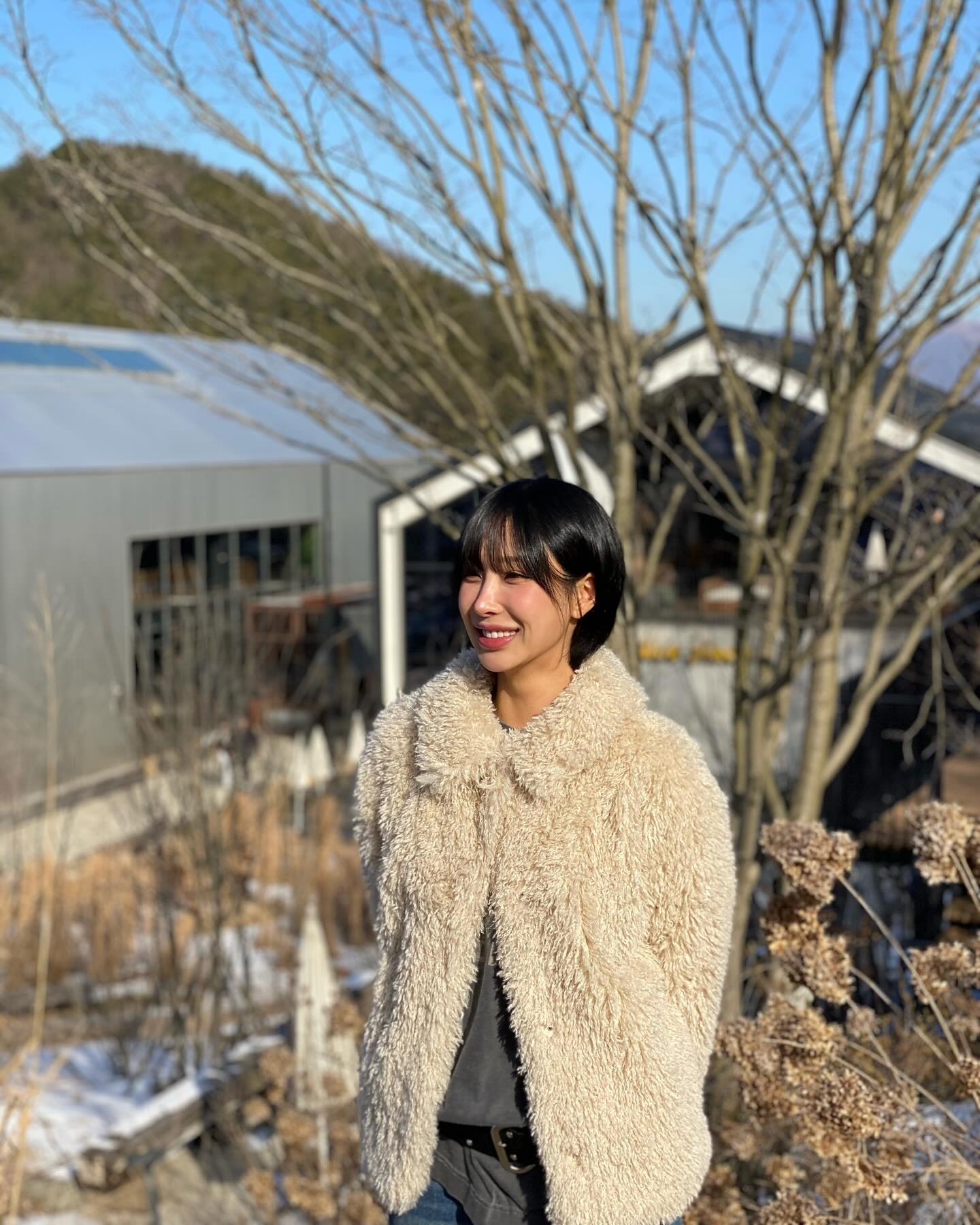 콘텐츠