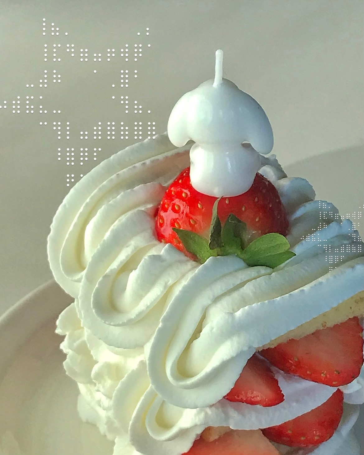 뒷모습이 귀여운 토깽이 ᕱ⑅ᕱ

#딸기 #딸기케이크