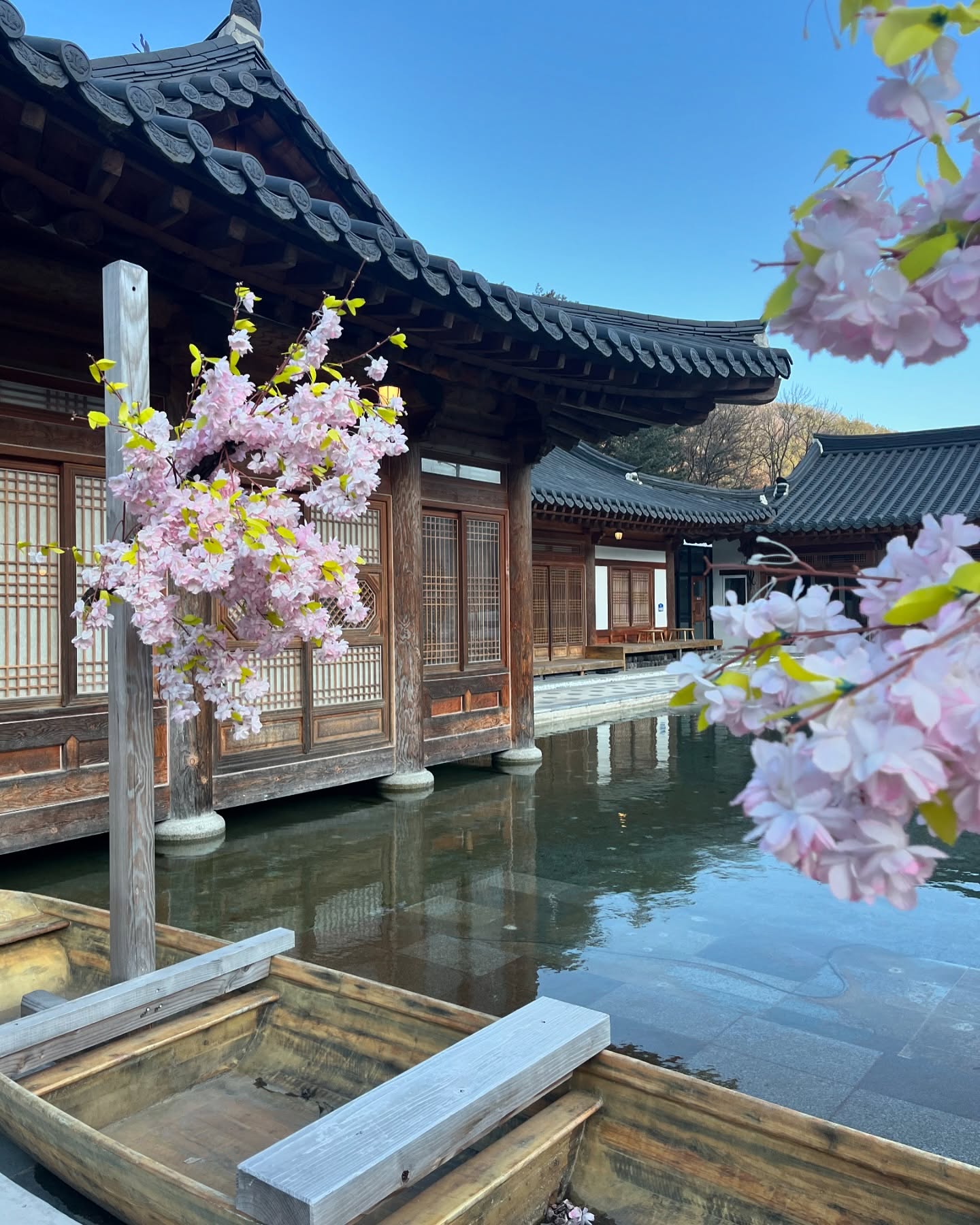 9년 만에 전주😱🌸