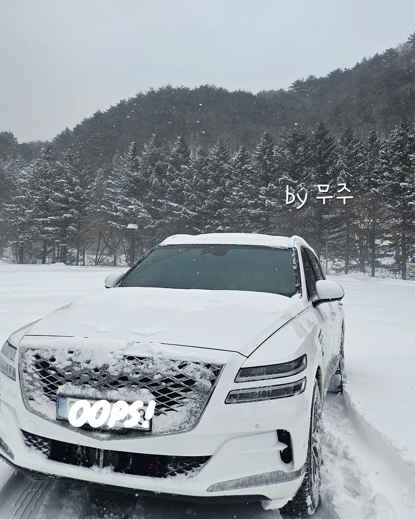 #여행 
신차 뽑은지 4년만에 4륜구동에 절실함을 깨달은  부산사람 🤣
태어나서 이렇게 많은 눈은 처음이예요☃️☃️

#전북폭설 #겨울여행 #2025덕유산 
#일상소통 #여행그램
#무주덕유산