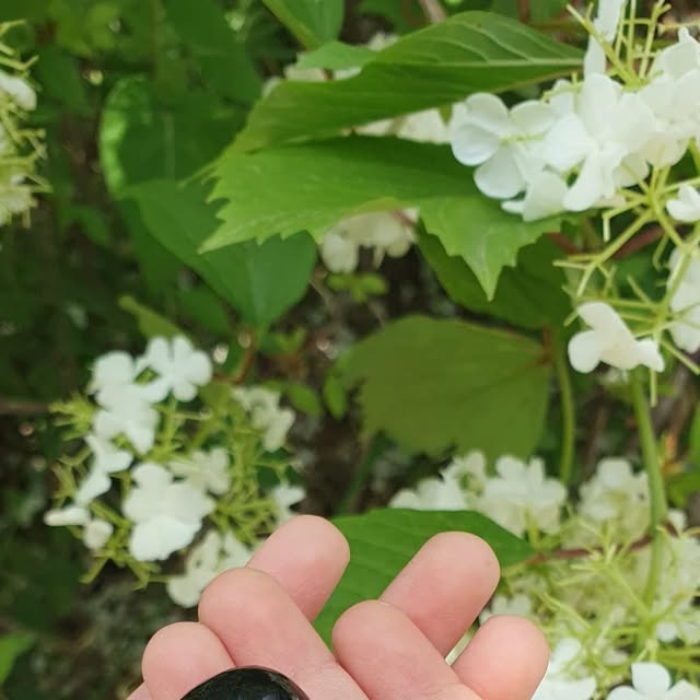 shane on Instagram: "[광고] SMIRIA이어폰 디자인 음질 가성비 굿 무선이어폰 강추드려요.
2만원도 안하는데 노이즈캔슬링까지 가능한 SMIRIA 제품인데요. 일단 디자인 심박..주머니속에 쏙 들어가 휴대성이 좋고 한손에도 쏙 들어가 들고다니기 좋네요. 짧은 시간 충전으로 최대 8시간 사용가능해서 편하게 일상에서 사용하기 좋다라고요.
저는 출퇴근 때나 집와서 휴대폰이나 티비볼때 연결해 사용하는데 일단 음질이 좋아 사용할 맛이 나고, 손쉽게 전화통화도 되서 좋네요. 

장시간 착용해도 귀가 편해서 매일매일 편하게 사용하고 있답니다. 초경량에 급속충전 가능하니 무선 블루투스 이어폰 찾으신다면 강추드려요.

https://link.coupang.com/a/cuYzEs

#SMIRIA이어폰 #SMIRIA #이어폰 #무선이어폰 #블루투스이어폰 #이어폰추천 #블루투스이어폰"