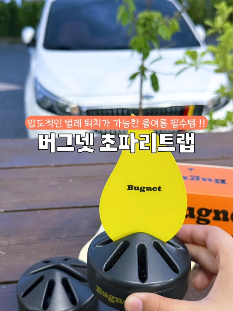 버그넷 초파리 트랩ㅣ초파리, 벌레 초간단 해결법! 여름 벌레 꿀템