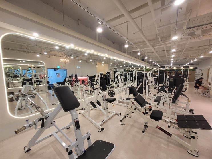 [헬스장] 성북구 헬스장 더블와이짐 종암점 시설 이용 / PT 수강 후기 (종암동pt, 종암동헬스)