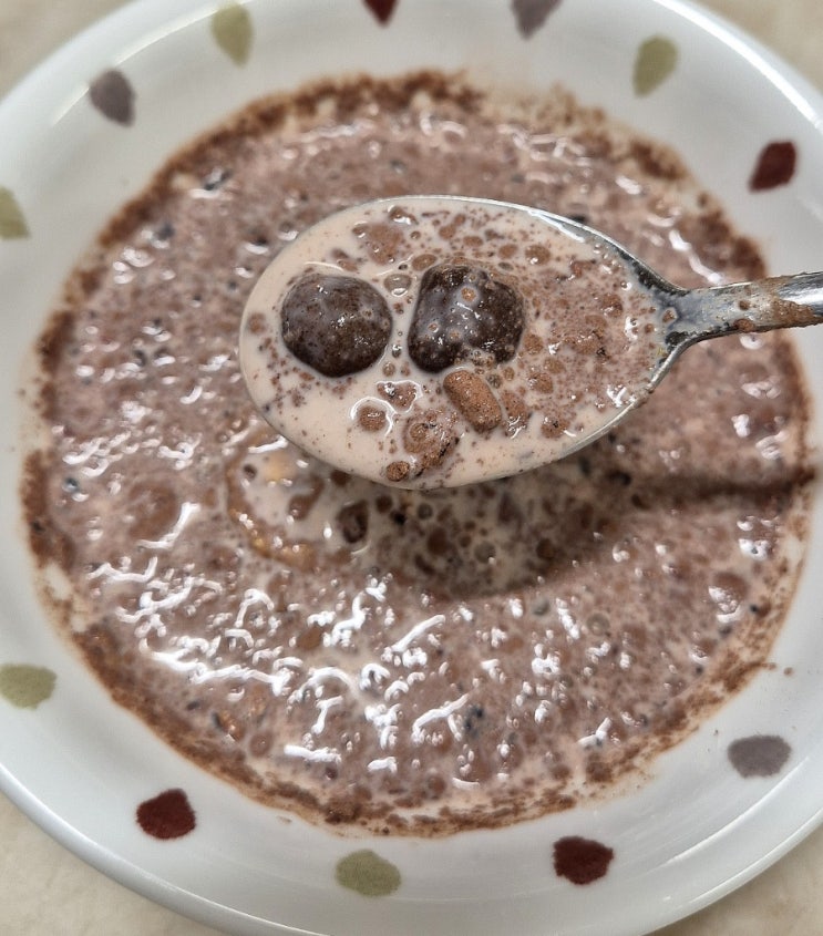 카카오 맛있는 초코맛 식물성 단백질 시리얼 파지티브호텔 비키니 블렌드 후기