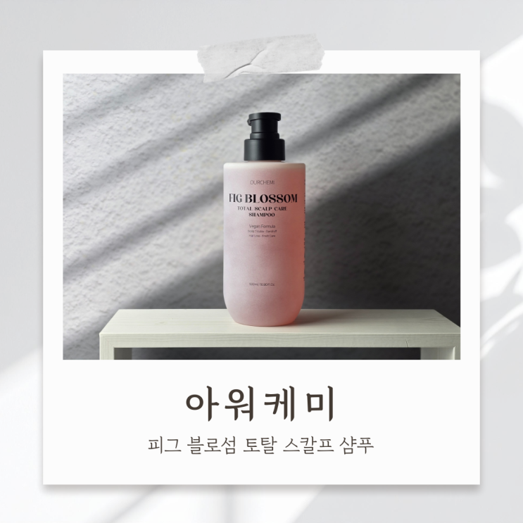 지성두피향좋은샴푸 아워케미 피그 블로섬 토탈 스칼프