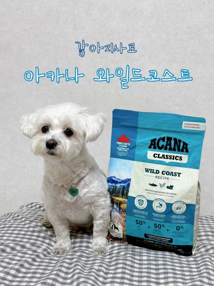 강아지저단백사료추천 아카나 와일드코스트 [캐나다사료]
