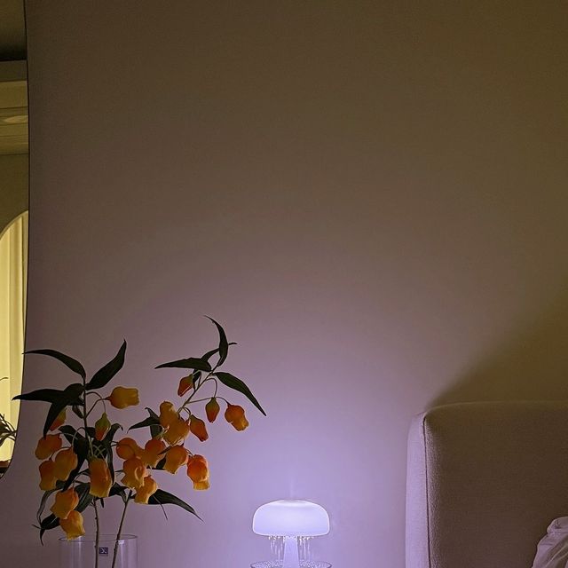 🕊️감성메리 I MYUNGSUNLEE🤍 on Instagram: "#광고 지만 가습기 시즌이죠! 점점 건조해지는 날씨에 귀여운 물멍 #빗소리가습기 를 데려왔어요♥ 호옥시~ 물소리 들으면 화장실 가는