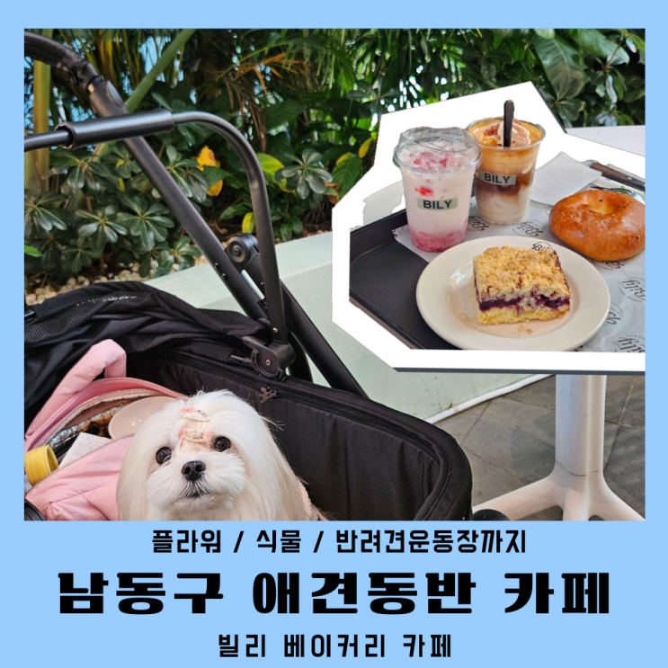인천 만수동카페 빌리 애견동반 강아지운동장 후기