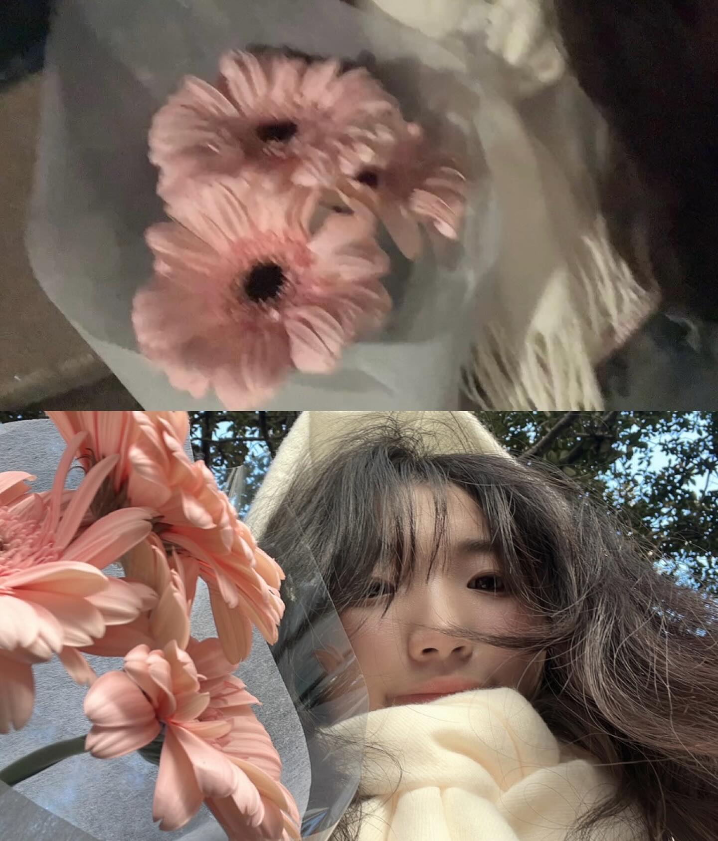 햄부케요🌷🌷