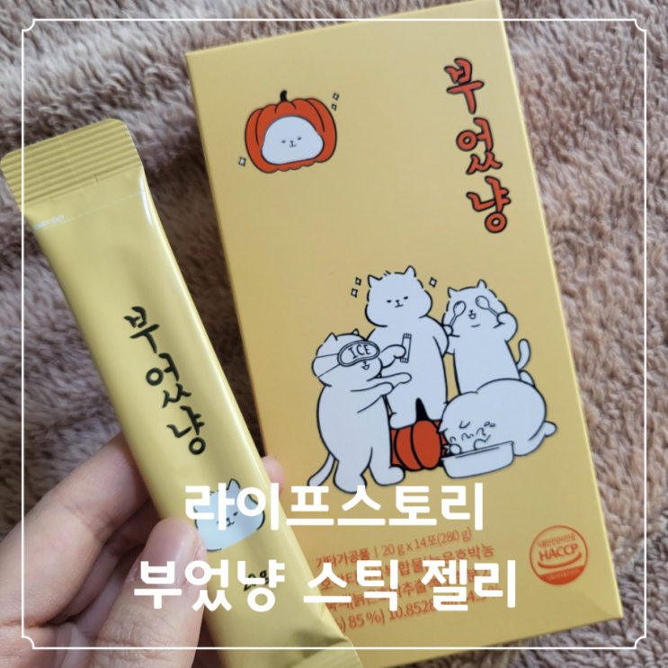 가벼운하루 비밀은 늙은호박 라이프스토리 부었냥 스틱 젤리