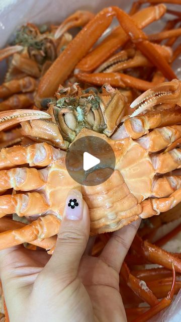 끈끈 on Instagram: "#협찬 #포항홍게무한리필 🦀

택배로 쪄서 받은 홍게
고소한 내장 미쳤고요🔥
밥 비벼먹으니 꿀맛이었오요😋
라면 끓일 때 넣어도 대박🍜🍜

📍 경북 포항시 북구 삼흥로 18번길 21
🤙 010-5421-4414

#포항 #포항맛집 #포항홍게 
#홍게 #홍게택배 #홍게무한리필 
#홍게맛집 #홍게찜 #홍게라면"