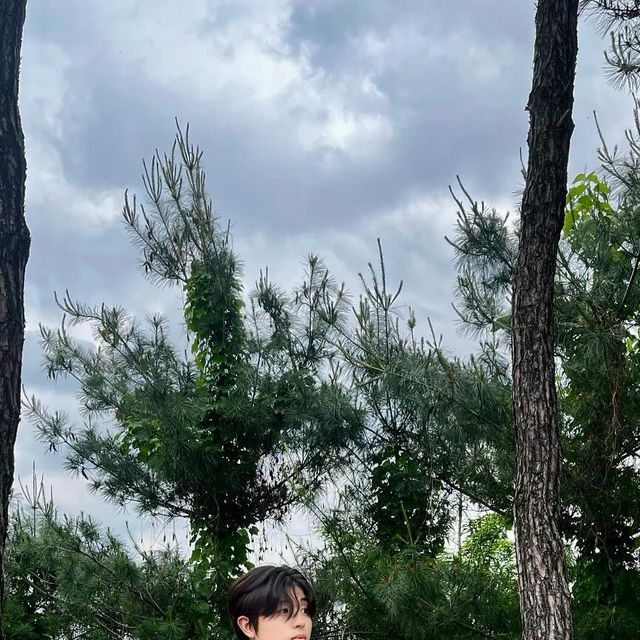@kim_____guru on Instagram: "#협찬
@1rony9orno_official @1rony9orno_crew 
[쿨니트] 썸머 카라 니트 반팔
통기성 정말 좋고 가볍게 입을 수 있어서 좋아요:)
꾸미고 싶을 때 입어도 너무 좋고 사진처럼 가볍게 입어도
너무너무 예쁜 옷이에요:)
.
ㄴ RAYON 90% / NYLON 10% 
ㄴ 동양인 체형에 어울리는 실루엣
ㄴ 선명하고 스트릿한 컬러감
ㄴ 통기성이 좋아 한여름까지 착용 가능 
ㄴ 오픈 카라넥 형태로 편안한 착용감
ㄴ 하드 트위스트 강연사로 편직하여 탄탄한 짜임 
#광고#아이러니포르노#아이러니포르노화이트라인#니트#KNIT#카라니트#여름니트"