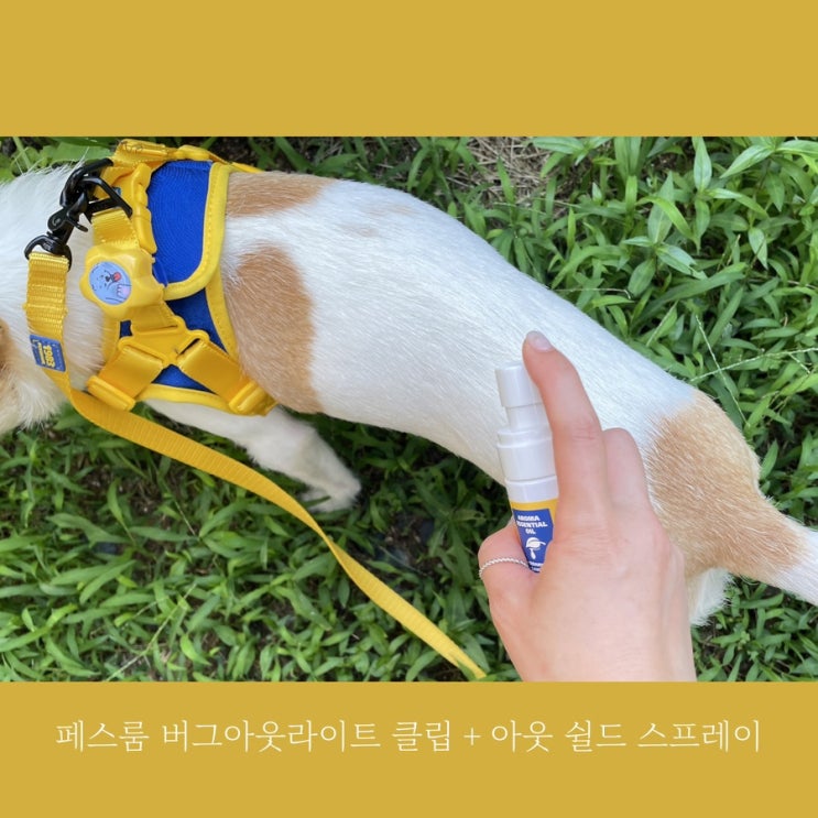 페스룸 아웃케어 세트 (버그아웃라이트 클립 + 아웃 쉴드 스프레이)