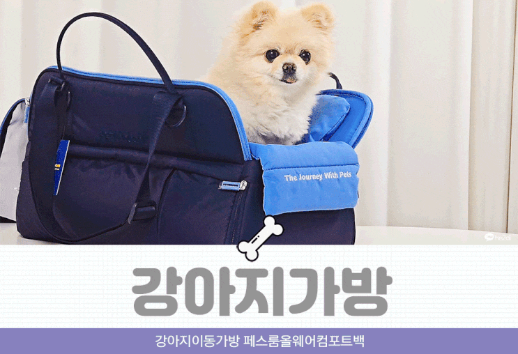 강아지이동가방 페스룸올웨어컴포트백