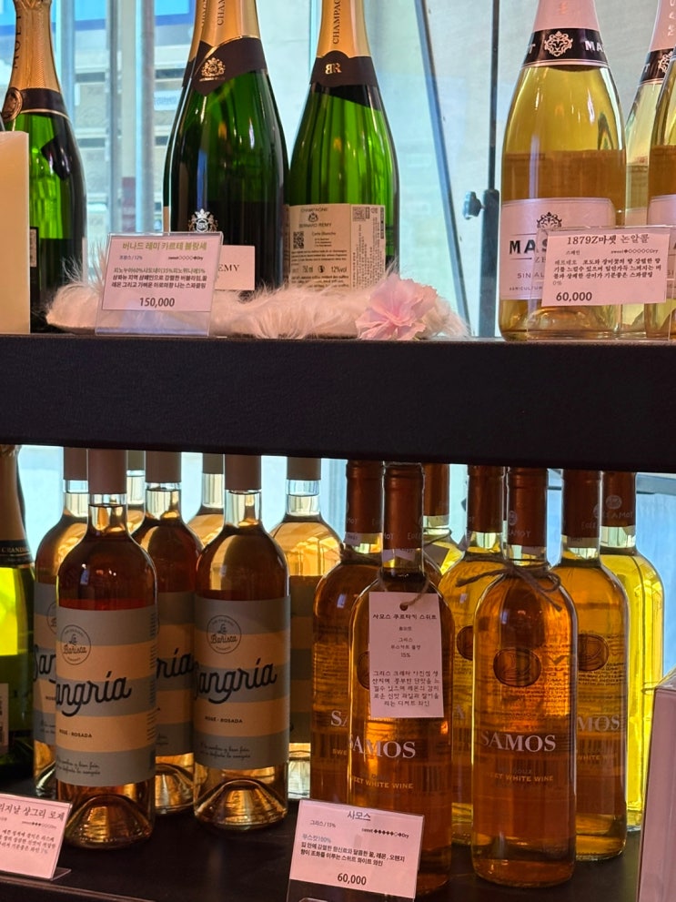 🍷 1879 와인샵 판교점 추석 선물 세트 추천 🎁특별한 추석 선물, 명절 선물, 와인 선물, 와인 할인 행사