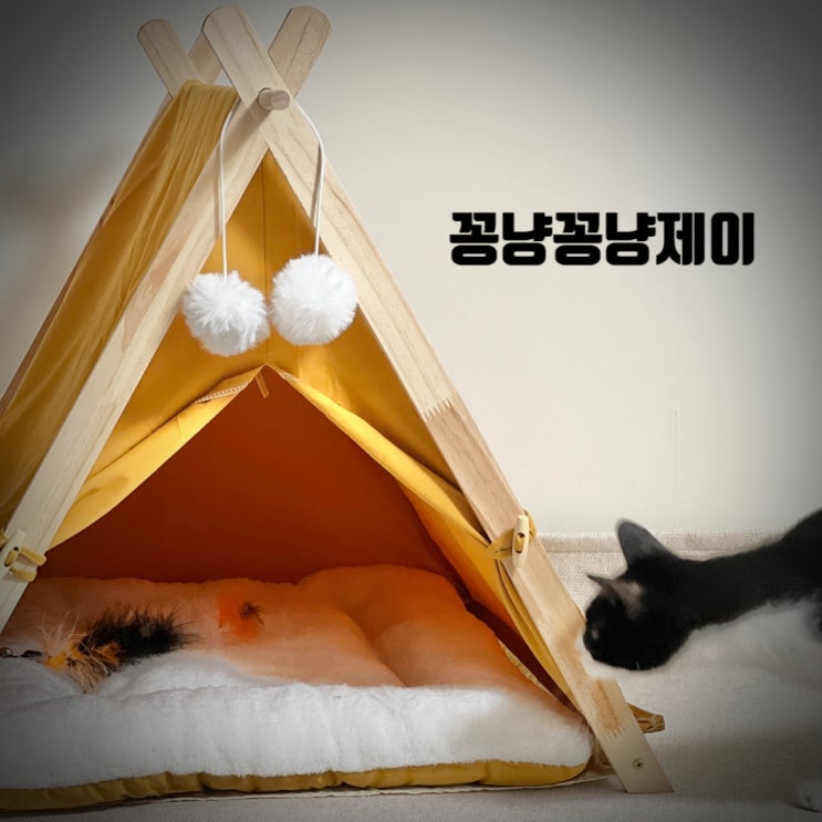 고양이 원목 하우스 감성까지 가득한 인테리어템 꽁냥꽁냥제이