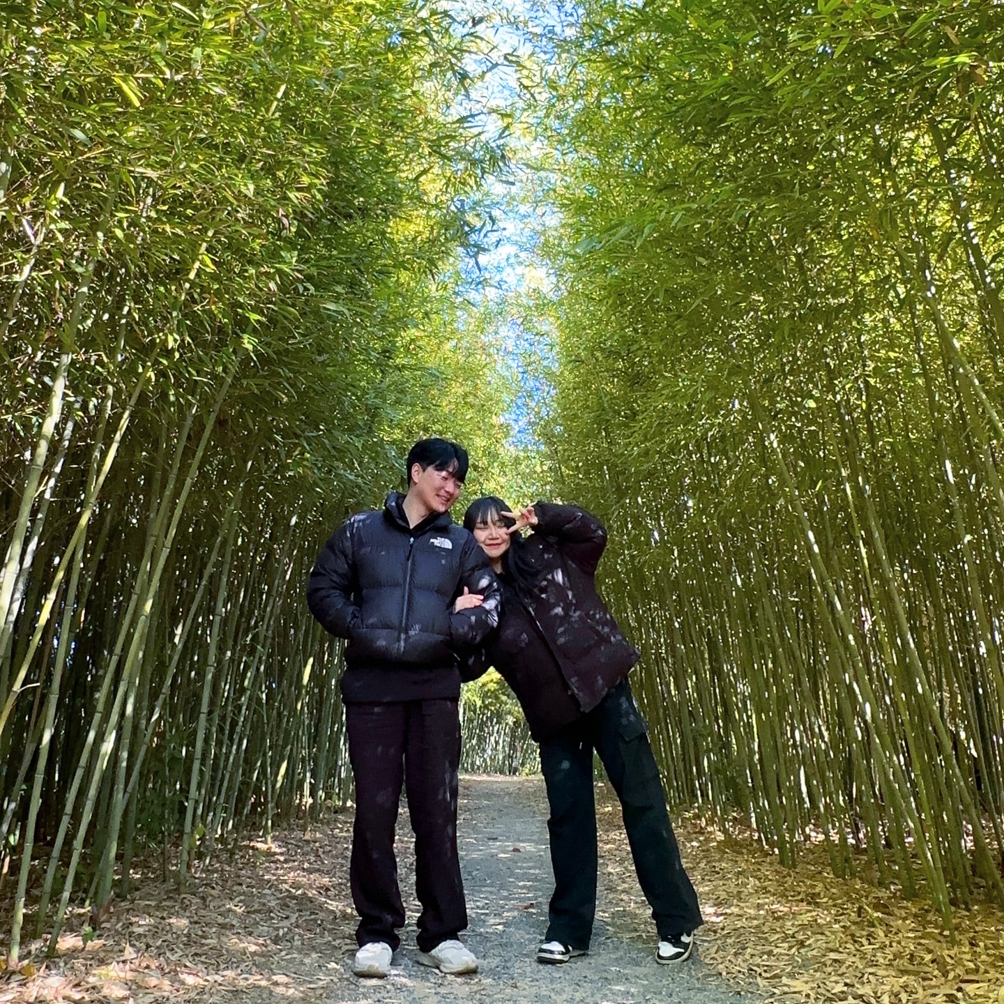 겨울엔 대나무숲이지🎋