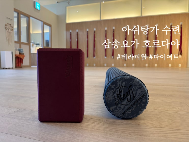 삼송요가 흐르다야 수련 후기 체형교정 및 다이어트 요가 추천